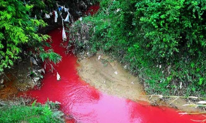 Suoi Nam Khenh o nhiem, nuoc do nhu mau hinh anh