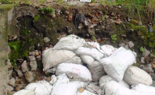 Phat hien hang chuc bao tai dung kim tiem ben suoi hinh anh