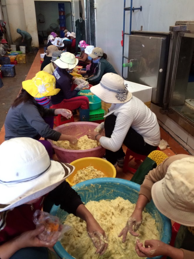 Các công nhân đang sơ chế sầu riêng tại cơ sở của của Công ty TNHH MTV Kim Quý (Krông Pắk, Đắk Lắk) sáng 24/8.