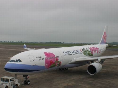 Cu dap nham chan ga mat mot trieu do o Tan Son Nhat hinh anh