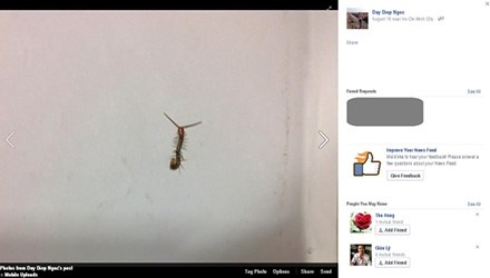 Bac si khong phat hien duoc con ret trong tai benh nhi hinh anh