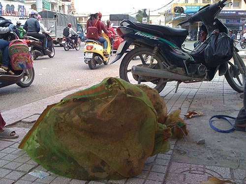 Những túi lưới chứa tổ ong vò vẽ được bày bán tại góc ngã tư vòng xoay Tân Phong (đường Đồng Khởi, P.Tân Hiệp, TP.Biên Hòa, tỉnh Đồng Nai). Ảnh chụp lúc 10h30 ngày 28-8-2015.