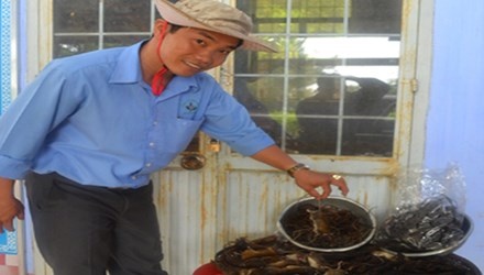 Mua san 'chuot quy toc' o vuon Ngoc Linh hinh anh