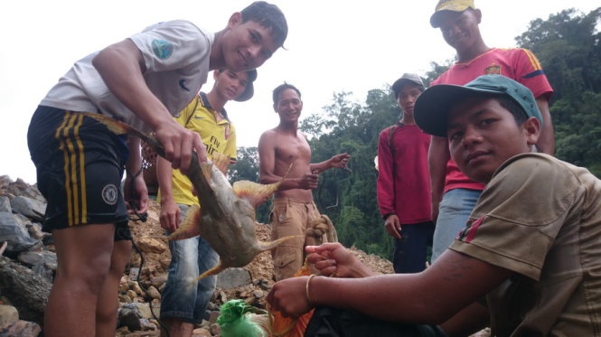 Kich dien tan diet ca tren Thuy dien Dong Nai 5 hinh anh