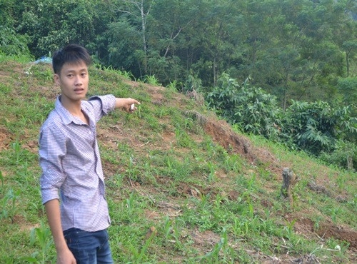 Bo chem chet con trai, phi tang sau nha hinh anh