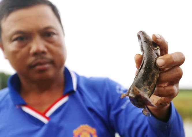 Con ca mien tay, ngay ay bay gio: Mo ca dong miet rung hinh anh