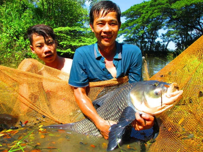 Con ca mien tay, ngay ay bay gio: Dong song 'thuy quai' hinh anh