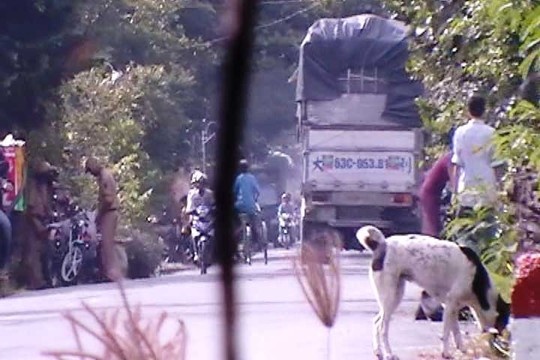 'Xe vua' Phuong Thinh 39: Bat kha xam pham? hinh anh