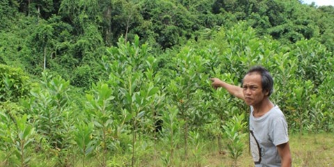 Ông Tường chỉ nơi xảy ra “lễ tế sống” kinh hoàng năm xưa.