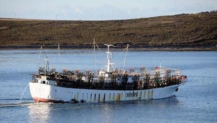 10 thuyen vien Viet Nam 'roi' xuong bien Nhat Ban hinh anh