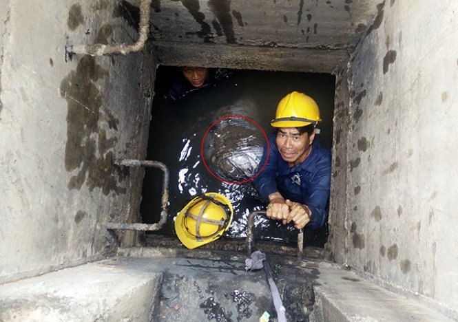 Cong thoat nuoc san bay Tan Son Nhat day go, bao cat hinh anh