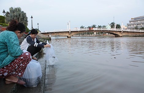 Cuu cau cu o Sai Gon hinh anh