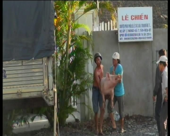 Lat xe tai, dan heo nao loan quoc lo hinh anh