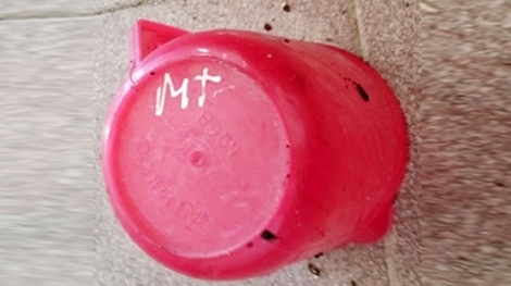 Vach mat hung thu tu chiec ca nhua thu duoc tai hien truong hinh anh