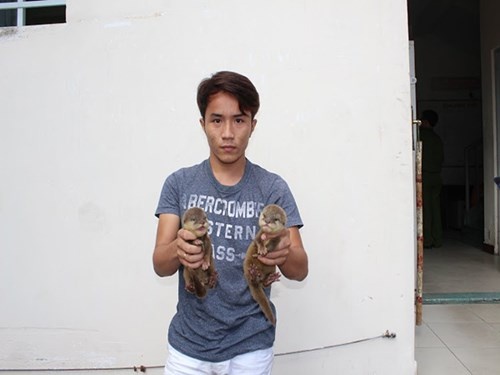 Bat trum buon ban dong vat hoang da quy hiem xuyen quoc gia hinh anh