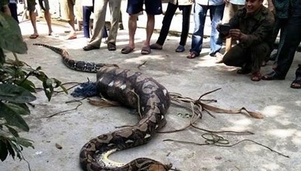 Nguoi dan vay bat tran 'khung' nuot chung con be hinh anh