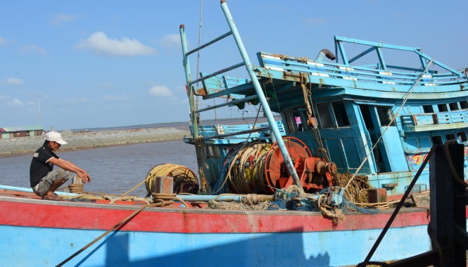 Chim tau ca tren bien, 14 ngu dan thoat nan hinh anh