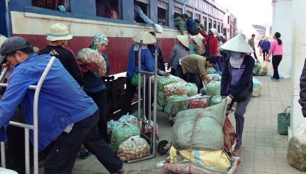 Xay ga hoanh trang de... hop cho hinh anh