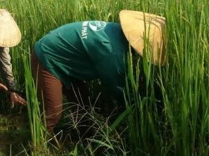 Bon ximang vao lua, loi truoc mat, hai lau dai? hinh anh