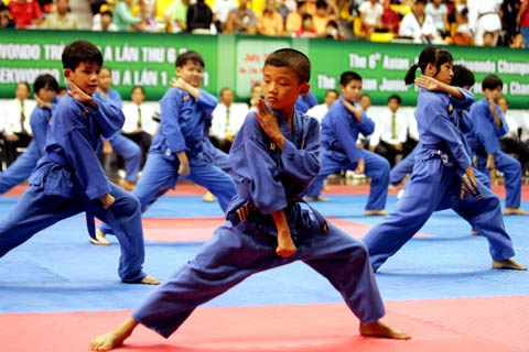 De xuat Vovinam la loai hinh van hoa phi vat the hinh anh