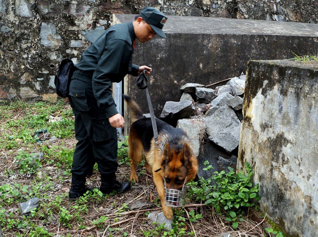 Chien cong cua nhung chu cho nghiep vu hinh anh