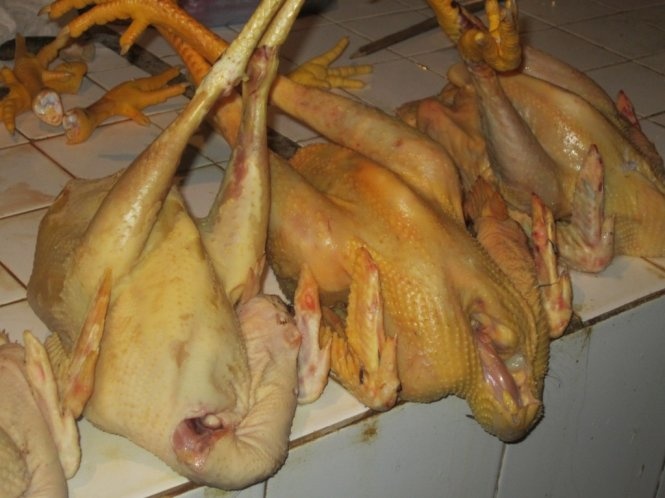 Ga nhuom hoa chat qua doc hinh anh