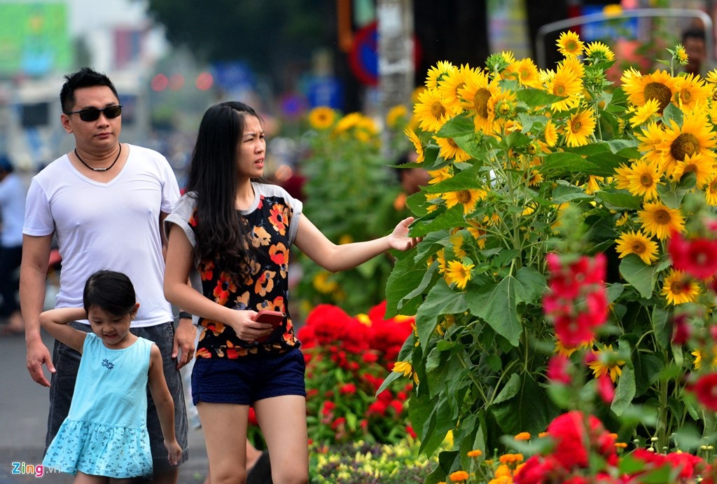 Mien Bac nang am, mien Nam mat me ngay 28 Tet hinh anh