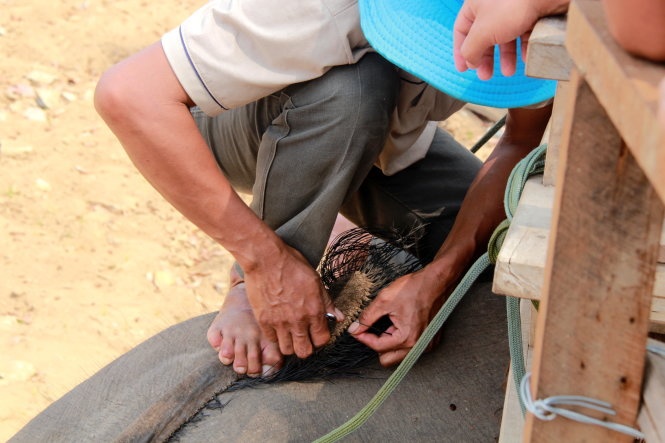 Nho long duoi voi ban cho du khach hinh anh