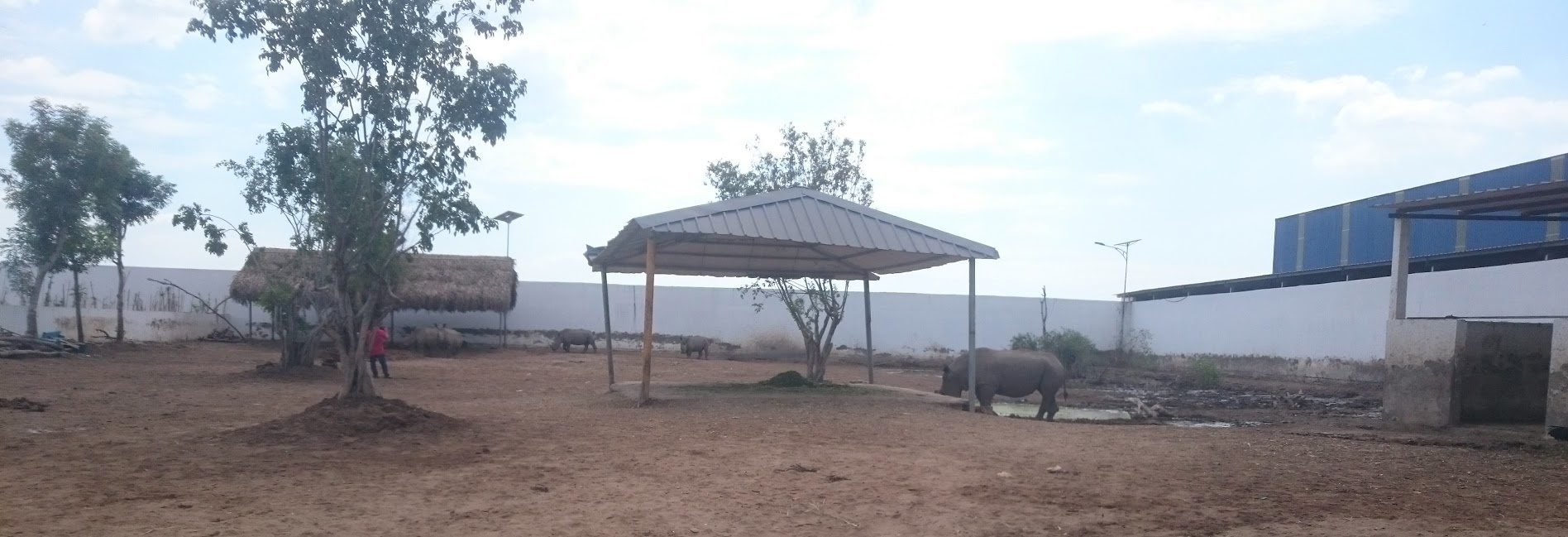 Nuoi te giac cung heo, ga o vuon thu My Quynh hinh anh