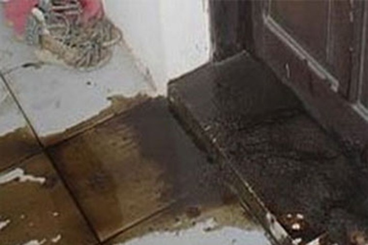 Nua dem mang dau luyn va mam tom di doi no hinh anh