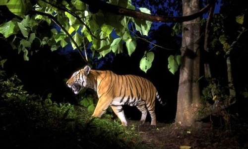 Dan phan anh ho xuat hien tai Bac Kan hinh anh