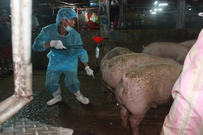 Tang hinh phat su dung chat cam: Dung nhung chua du hinh anh