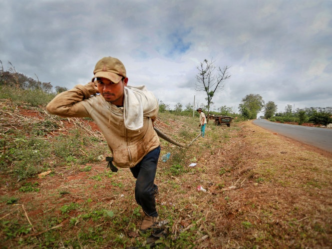 118 ho chua nuoc o Dak Lak tro day hinh anh