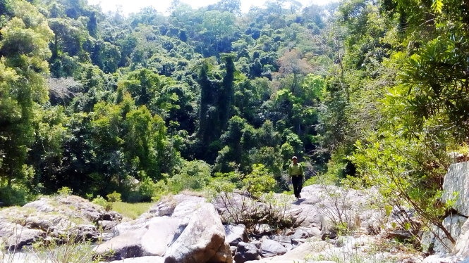 xây thủy điện trong khu bảo tồn ảnh 1 xay thuy dien trong khu bao ton anh 1