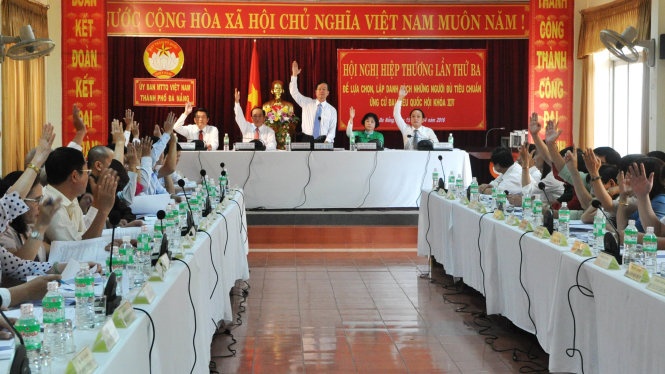 Ung cu vien dai bieu HDND TP Da Nang bi loai vi... no? hinh anh