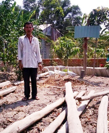 Xây chòi nuôi vịt ảnh 1 Xay choi nuoi vit anh 1