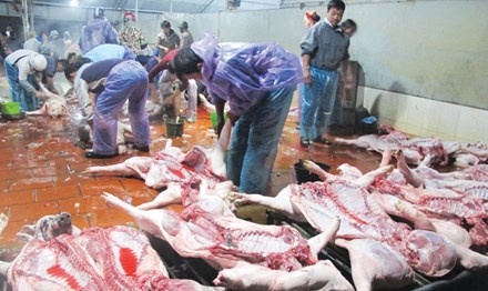 Thuc pham ban don nguoi tieu dung vao chan tuong hinh anh