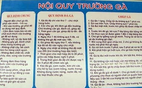 truong ga gay chan dong gioi ca cuoc anh 2