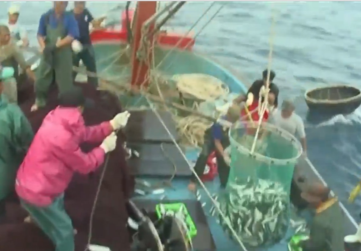 Hanh trinh danh bat ca tai ngu truong khoi xa hinh anh