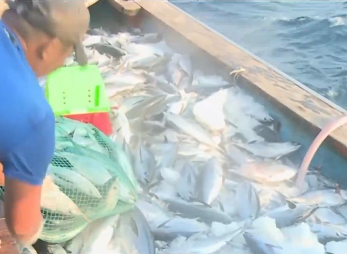 Hanh trinh danh bat xa bo cua ngu dan hinh anh