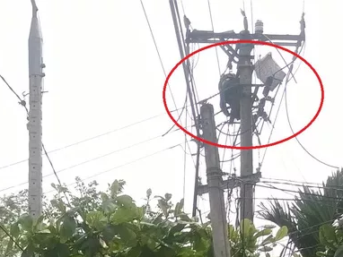 Bi dien giat chet khi da cup dien: Ho tro 150 trieu dong hinh anh