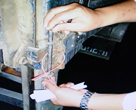 tiêm thuốc an thần vào heo ảnh 1 tiem thuoc an than vao heo anh 1