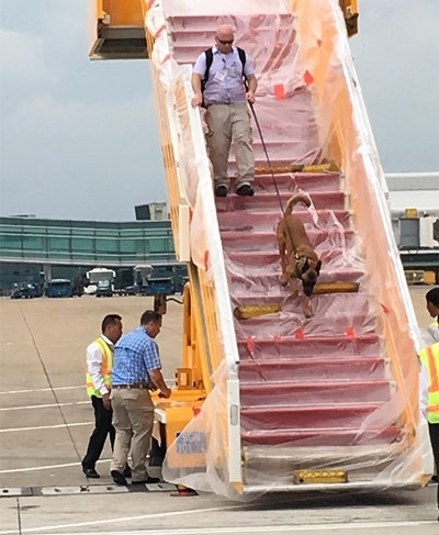 chuyen co cua tong thong Obama anh 1