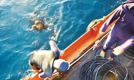 Cuon bi kip Hoang Sa anh 1