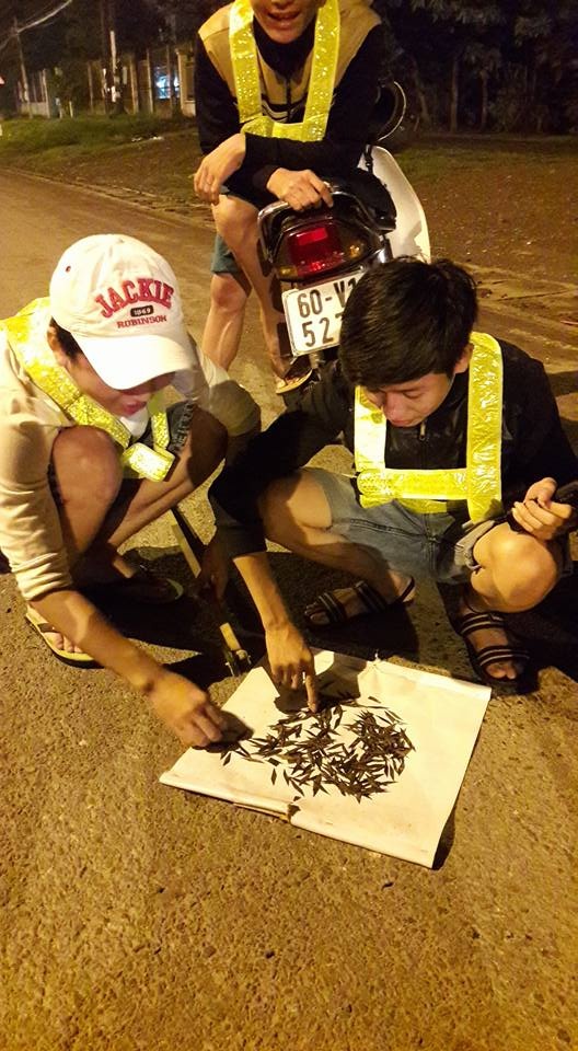 dinh tac tren Quoc lo 51 anh 8