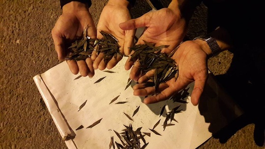 Trang dem nhat dinh tren quoc lo 51 hinh anh