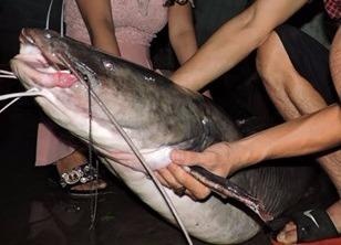 Nhung 'sat ngu' tren dong Serepok hinh anh