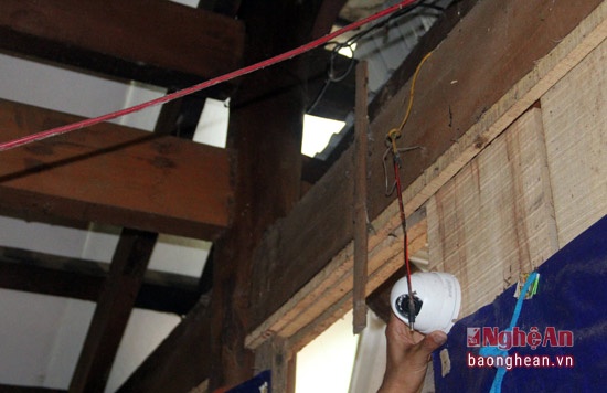 Trum ma tuy dao ham xuyen nui anh 2