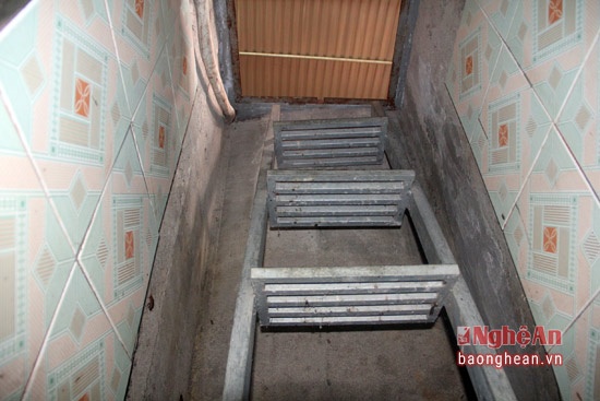 Trum ma tuy dao ham xuyen nui anh 3