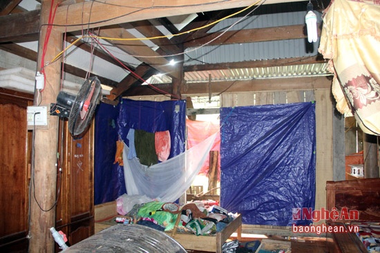 Trum ma tuy dao ham xuyen nui anh 9